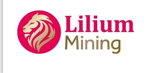 Chambre des Mines du Burkina (CMB) — Liliuu-Mining