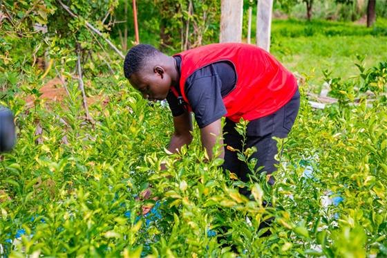 ILE Jeunes – ilejeunes.org — 36B0048