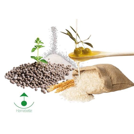 Hamabelle — produit agricoles hamabelle
