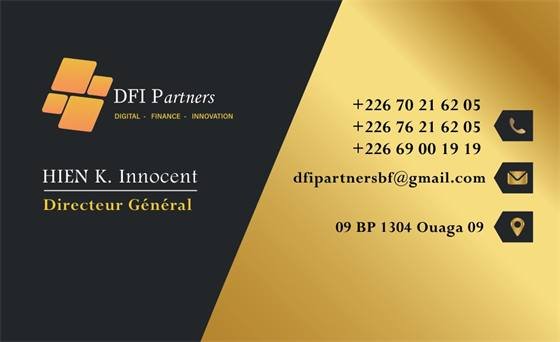 DFI Partners — CARTE DE VISITE DFI PARTNERS New
