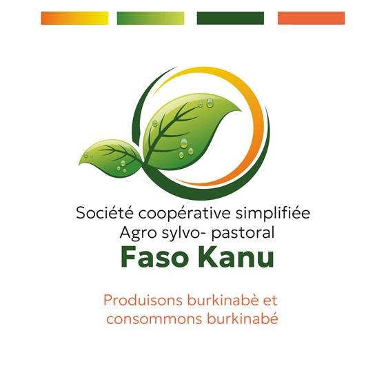 SCOOPS-ASP Faso Kanu — SCOOPS APK FK - Phase 01 choix de logo