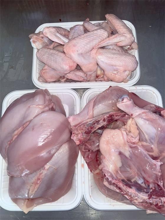 Chicken House (Ouaga & Kouba)