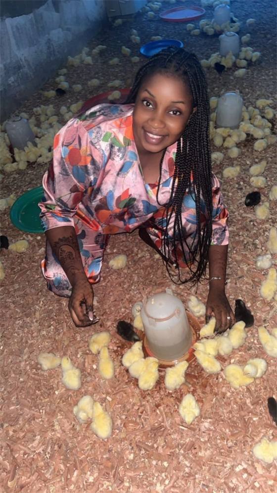 Chicken House (Ouaga & Kouba)