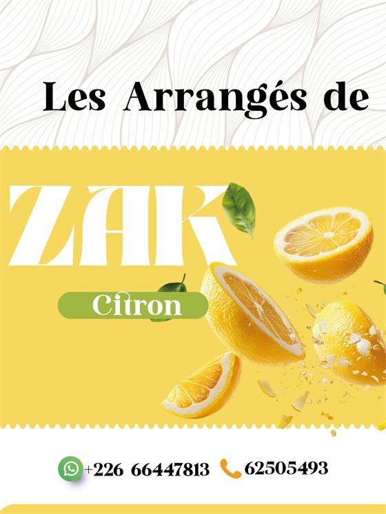 Les Arrangés de Zak — A zak copie 5 300x