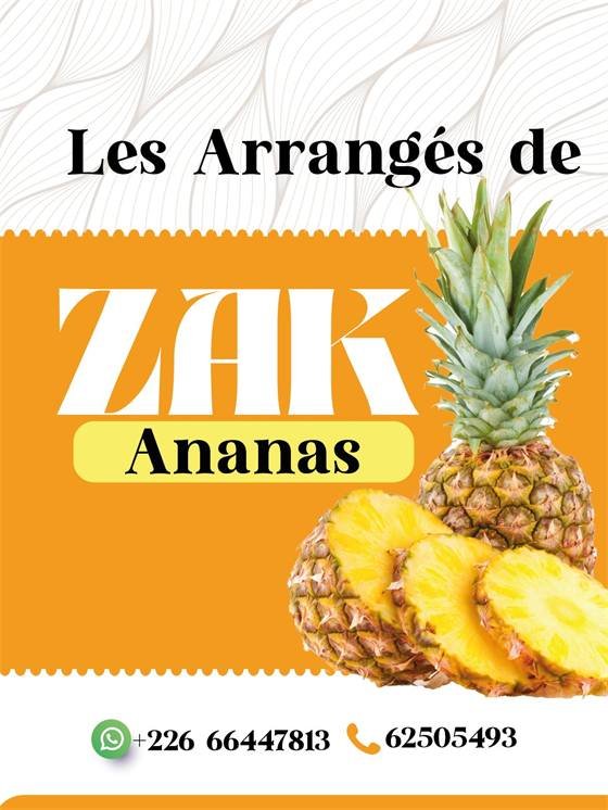 Les Arrangés de Zak — A zak 300x
