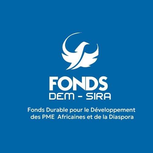 Demsi Funds / Fonds SBPME — L011 RD