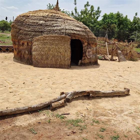 Coopérative Save The Village — 290431216 585864472988414 7497552808261829830 n