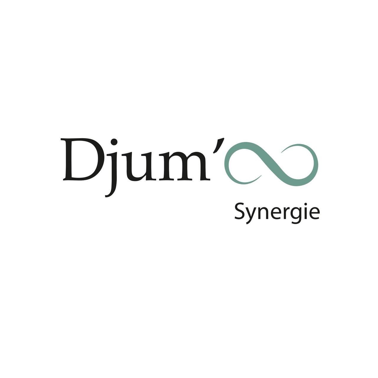 Djum's Synergie