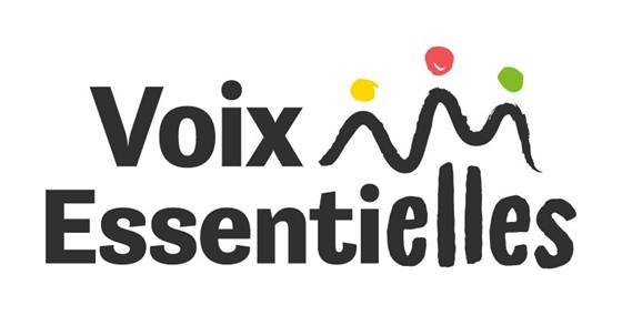 Afriq'com – Partenaire — VE-logo-couleurs-noir (1)
