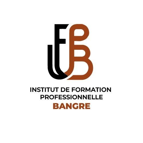 Centre de Formation Professionnelle Bangré (CFPB / IFPB)